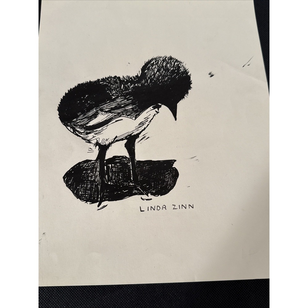 Original pen & ink life drawing of a Baby Chick Looking At It's‎ Shadow Signed